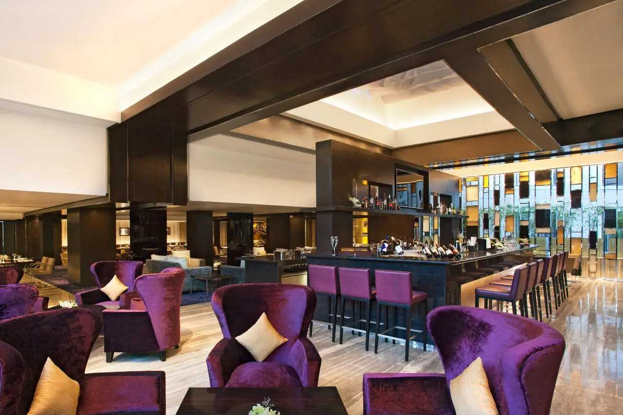 Radisson Blu Plaza Delhi Airport
